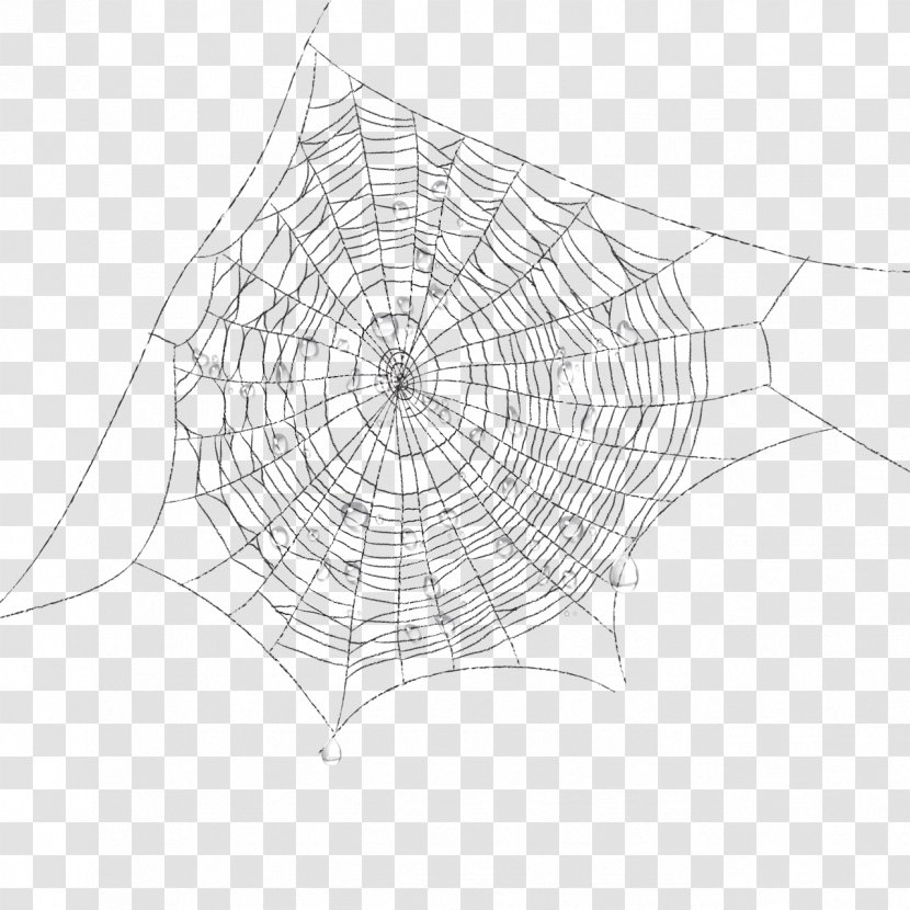 Spider Web Silk Clip Art - Monochrome Photography Transparent PNG