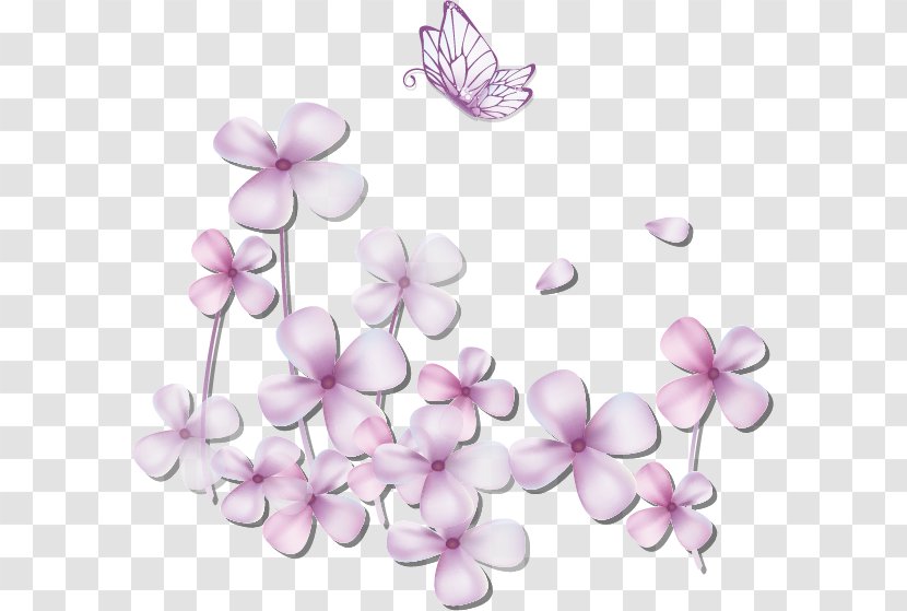 Clip Art - Cherry Blossom - Flower Transparent PNG