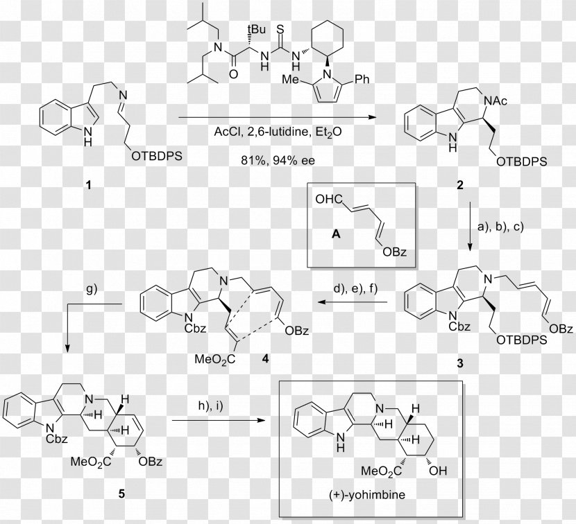 Amination Thiourea Organocatalysis Indole Michael Reaction - Acid Catalysis - Alkaloid Transparent PNG