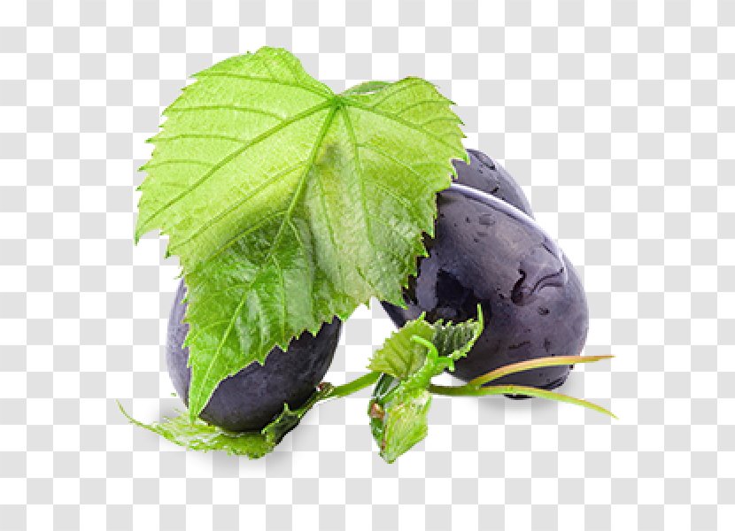 Grape Leaves Extract Leaf Vegetable - Caviar - The Mask Transparent PNG