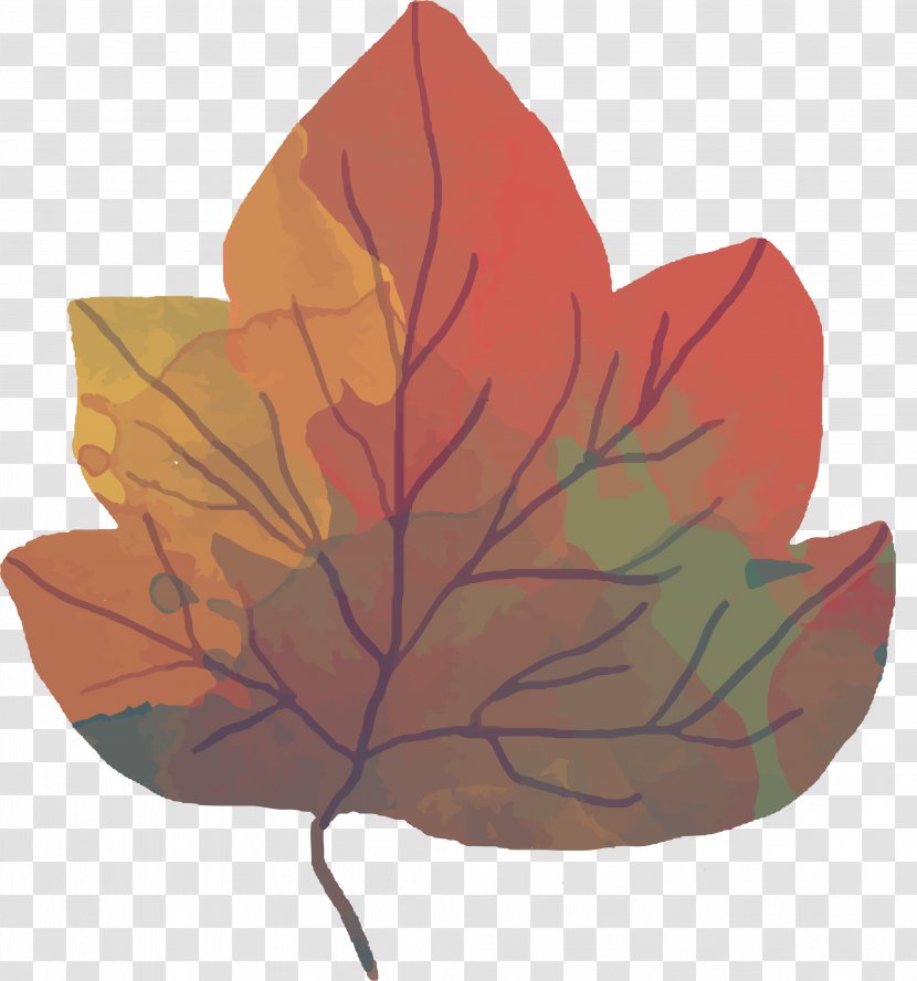 Maple Leaf Autumn - Petal - Design Transparent PNG