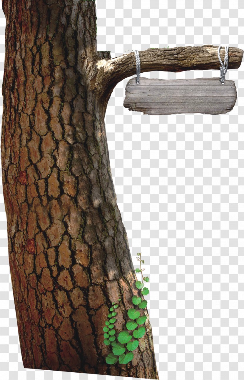Tree Poster Wood - Google Images Transparent PNG