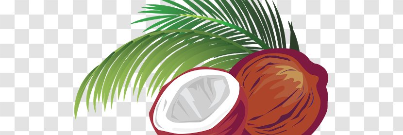 Coconut Milk Drawing - Tree Transparent PNG