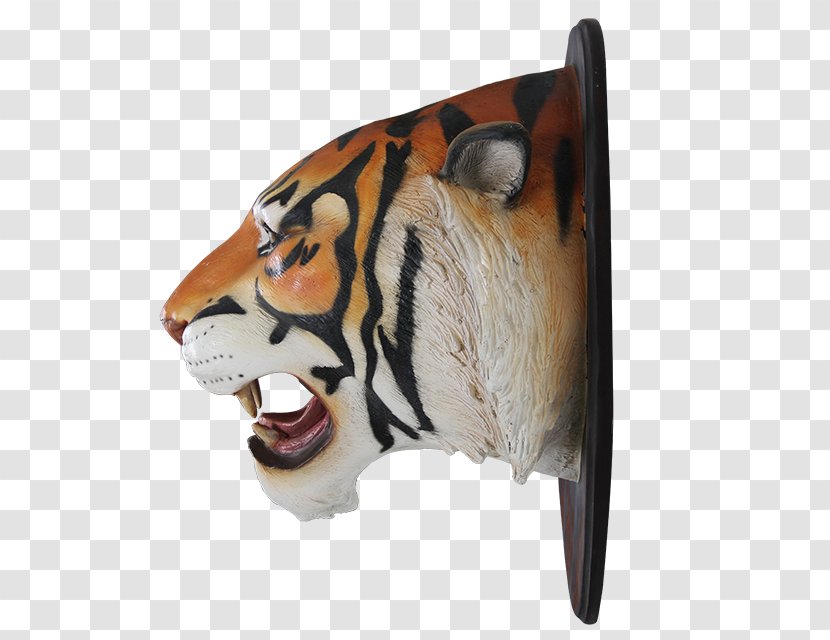 Tiger Cat Cougar Mammal Roar - Snout - Hand Painted Flowers Transparent PNG