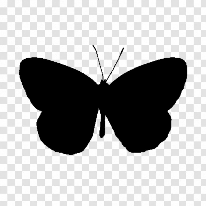 Brush-footed Butterflies Clip Art Line Silhouette Black M - Brushfooted Butterfly Transparent PNG