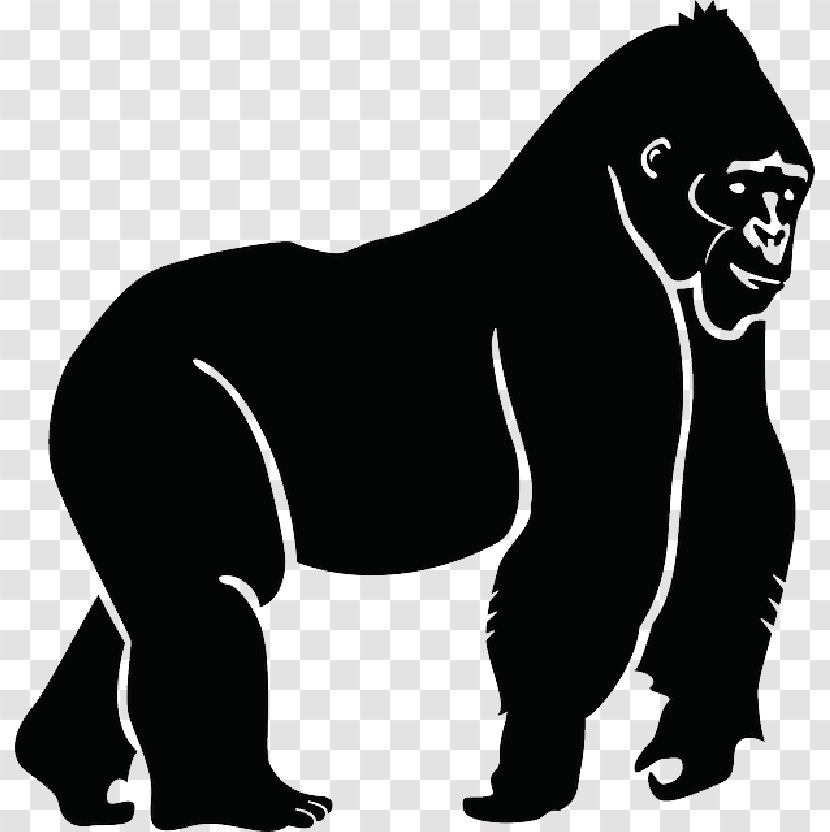 Gorilla Vector Graphics Clip Art Illustration - Primate - Cartoon Transparent PNG