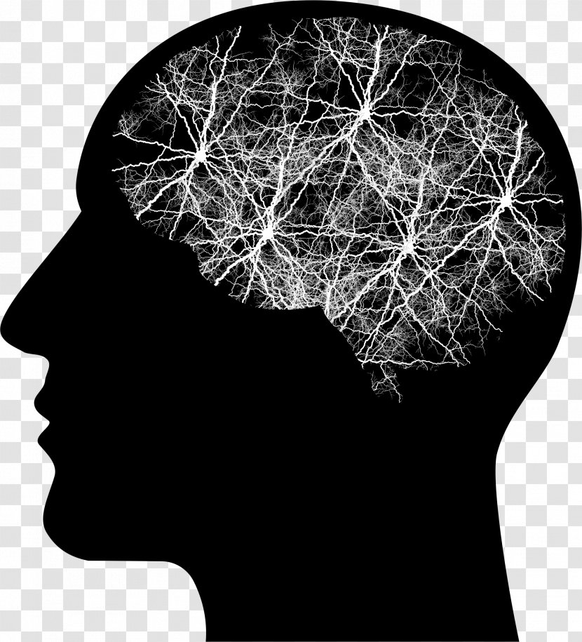 Human Brain Head Body - Tree Transparent PNG