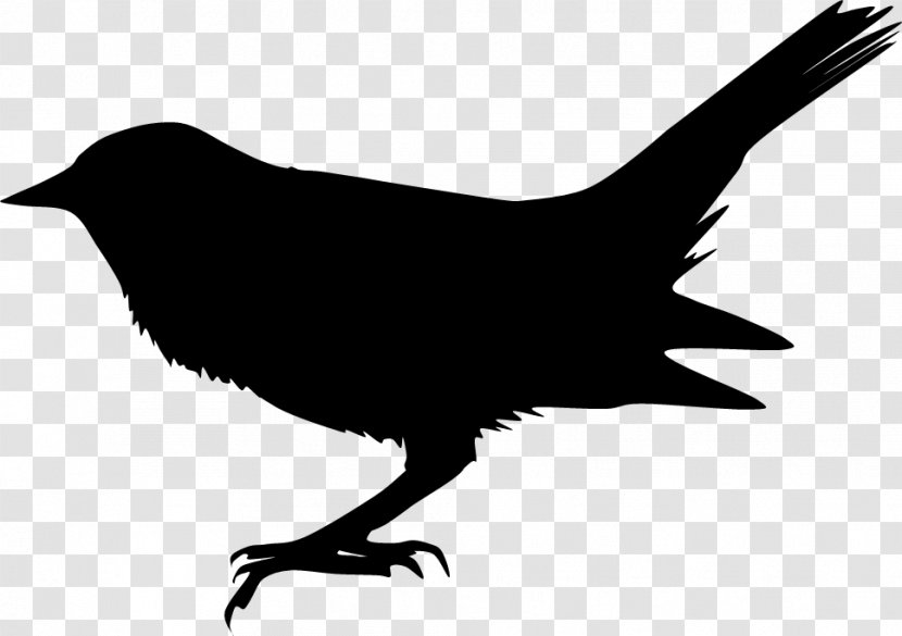 Silhouette Blackbird The Beatles Song - Beak Transparent PNG