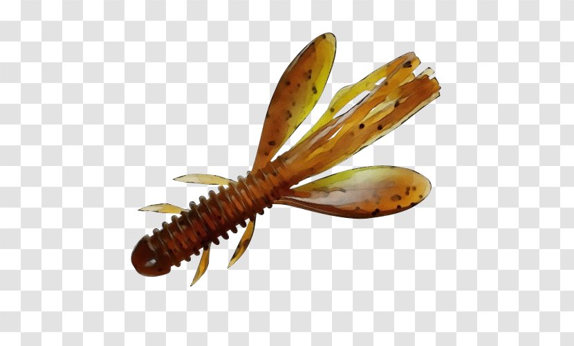 Fishing Cartoon - Insect - Membranewinged Lobster Transparent PNG