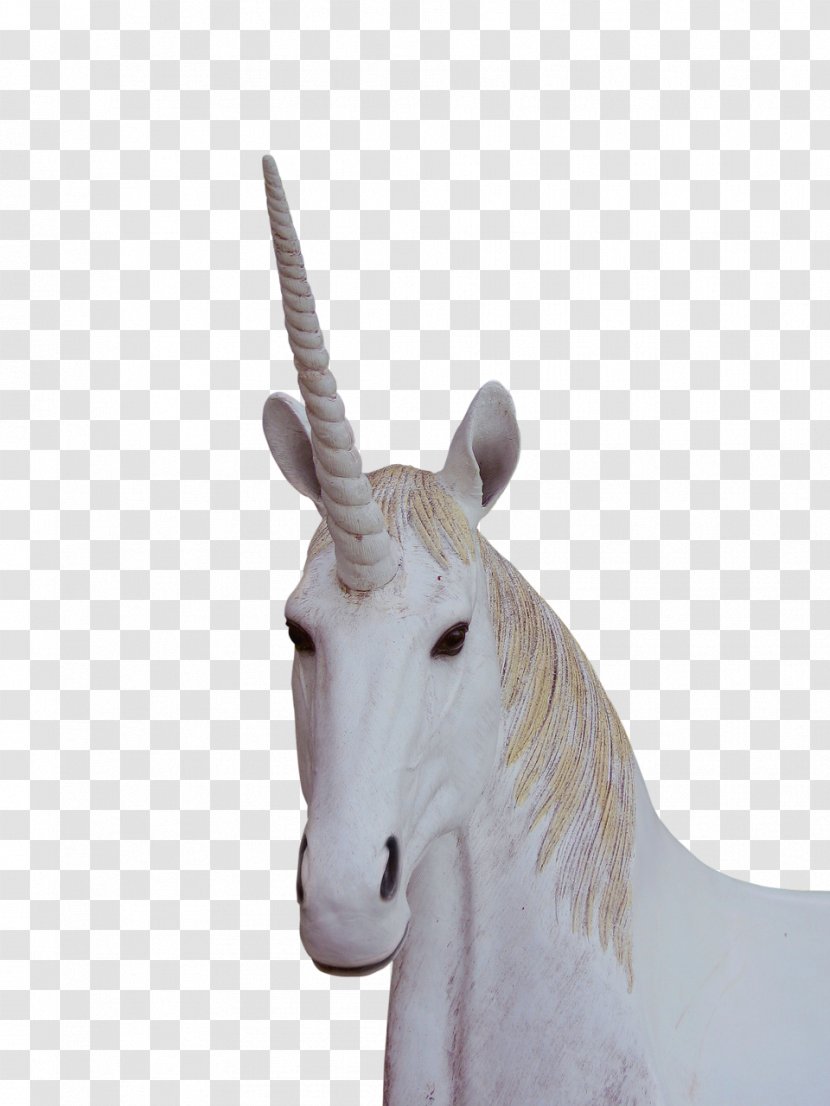 Unicorn Legendary Creature Transparent PNG
