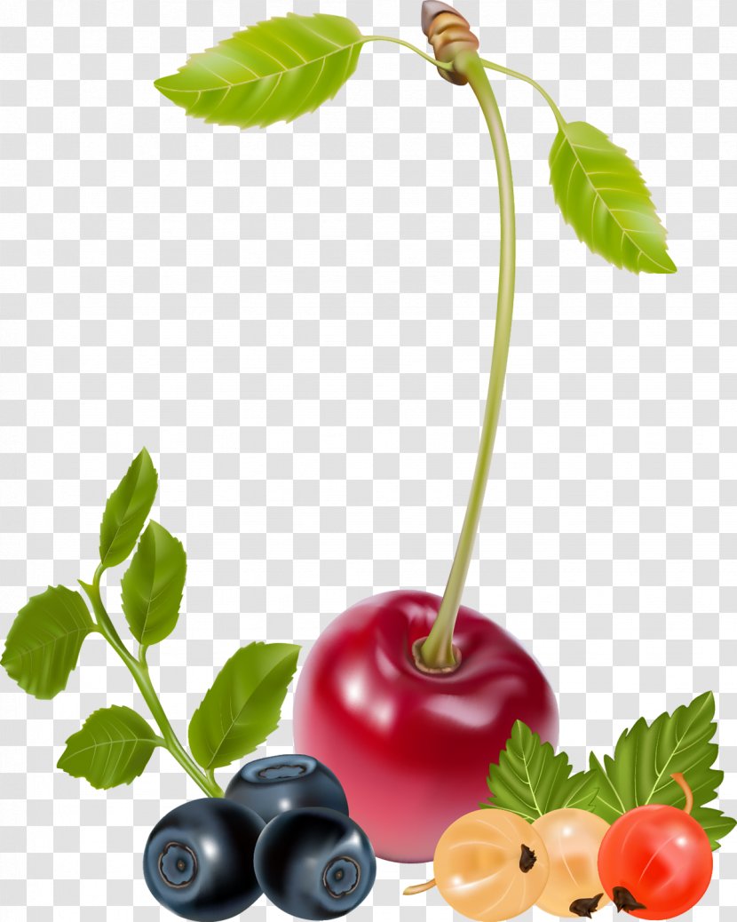 Cherry Fruit - Sweet - Berries Transparent PNG