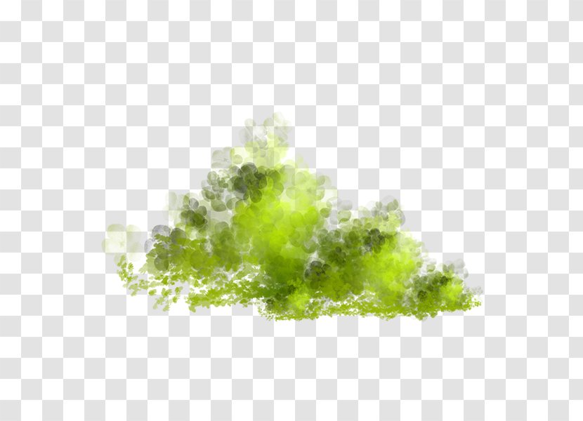 Clip Art - Green - Meadow Lawn Grass Transparent PNG
