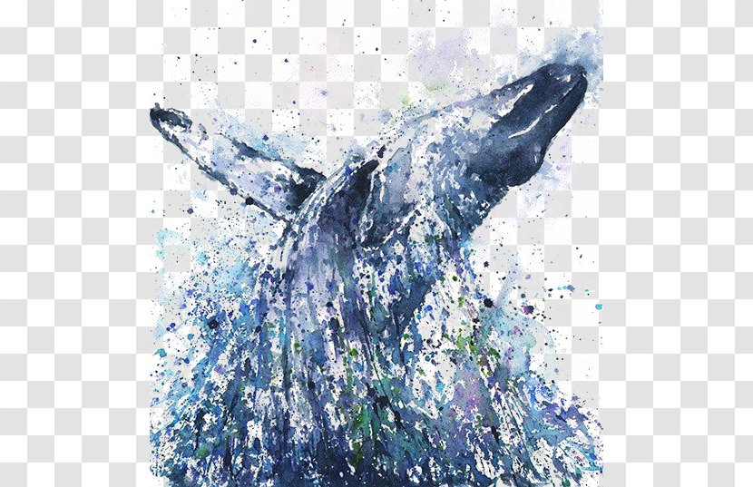 Watercolor Painting Humpback Whale Killer - Paint Transparent PNG