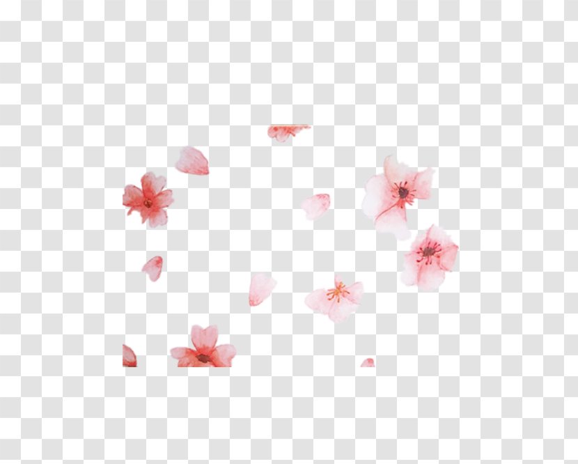 Creative Watercolor Painting Cherry Blossom - Beautiful Transparent PNG