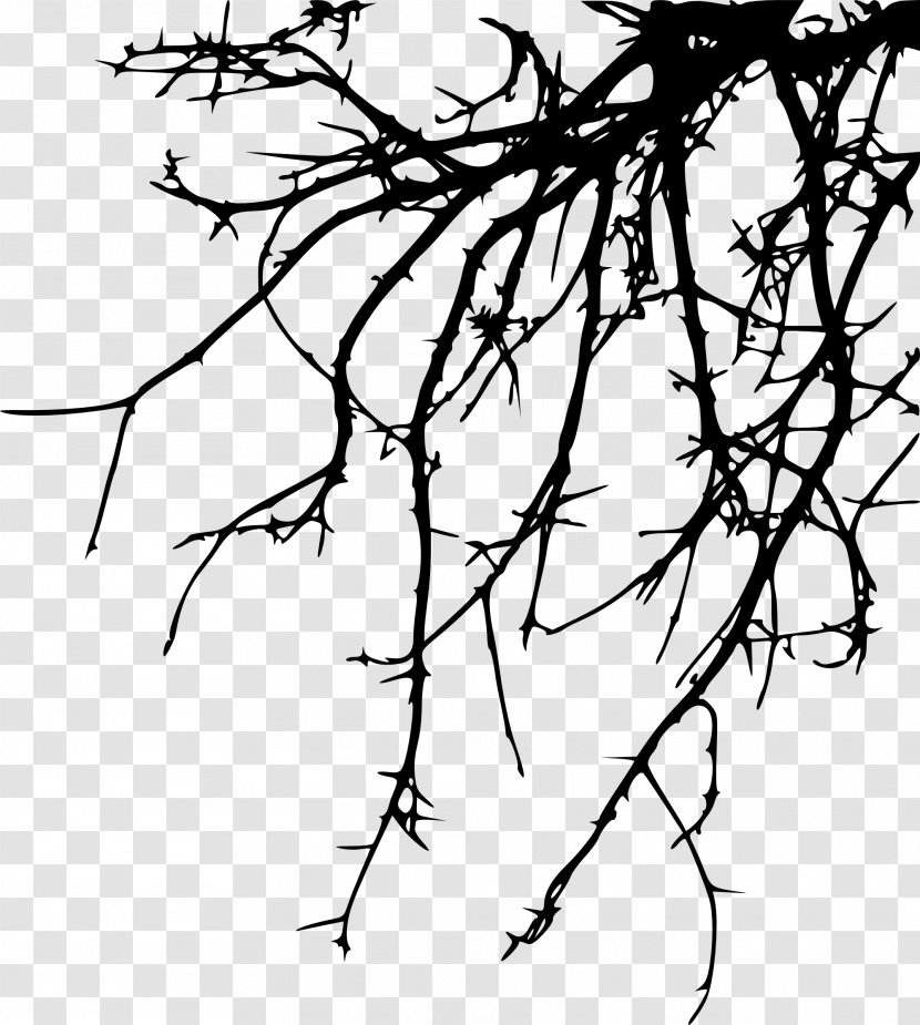 Twig Branch Drawing Clip Art - Silhouette - Branches Silouhette Transparent PNG