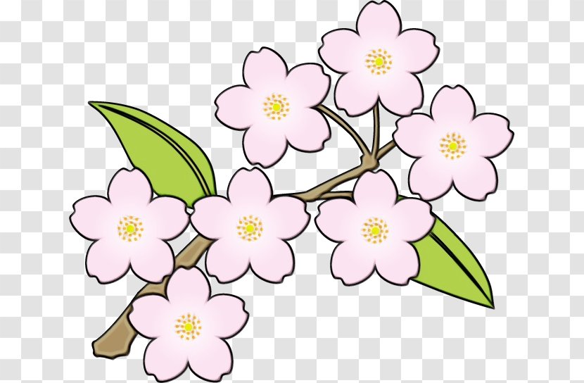 Floral Design Cut Flowers Cherry Blossom Flowering Plant - Perennial Transparent PNG