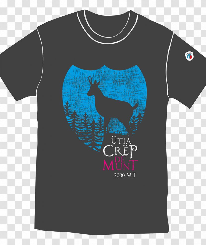 Tre Cime Di Lavaredo Auronzo Cadore Piz Dles Cunturines Mountain Cabin T-shirt - Turquoise Transparent PNG