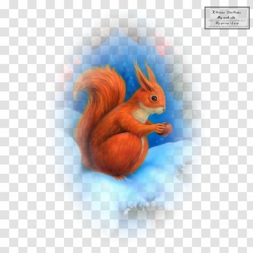 Squirrel Desktop Wallpaper Computer Transparent PNG