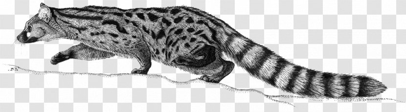 Tiger Cat Dog Pet Terrestrial Animal Transparent PNG