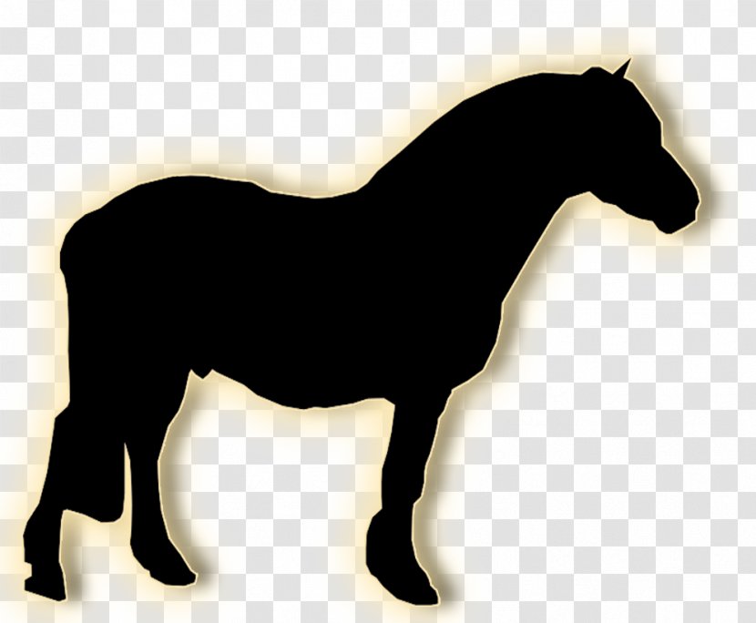 Mustang Stallion Mare Halter Pack Animal - Horse Transparent PNG