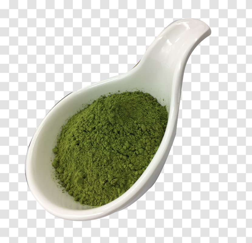 Superfood Herbalism - Grass Transparent PNG