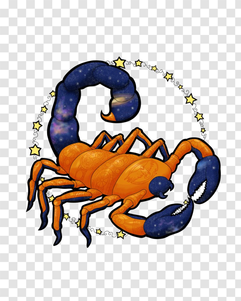 Crab Clip Art - Arachnid - Scorpio Zodiac Transparent PNG