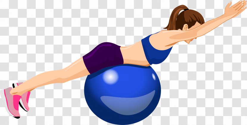 Abdominal Obesity Weight Loss Exercise Balls Dieting Adipose Tissue - Balance - Health Transparent PNG