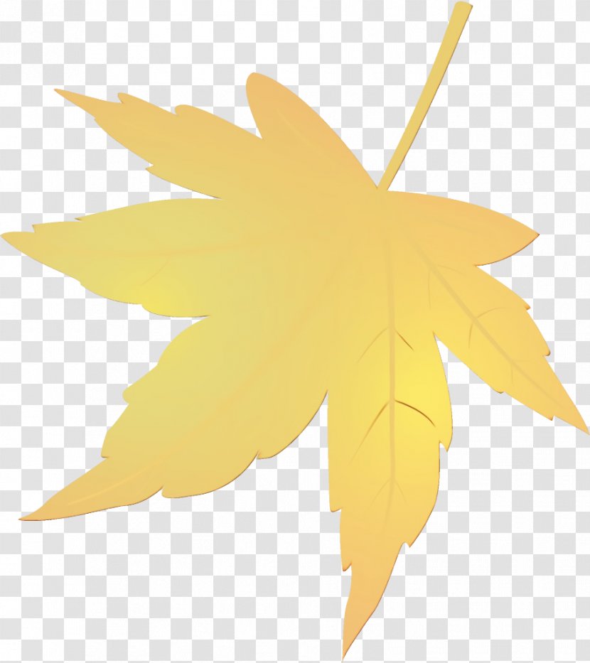 Maple Leaf - Paint - Black Transparent PNG