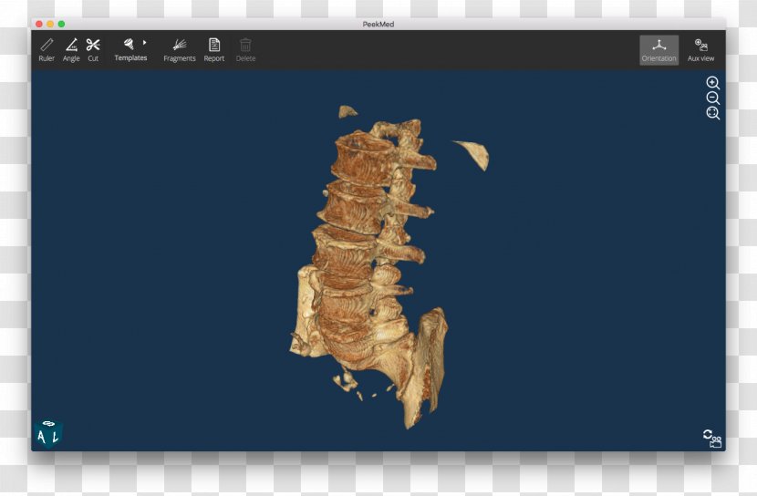 Jaw Organism Font - Screenshot - Spine Transparent PNG