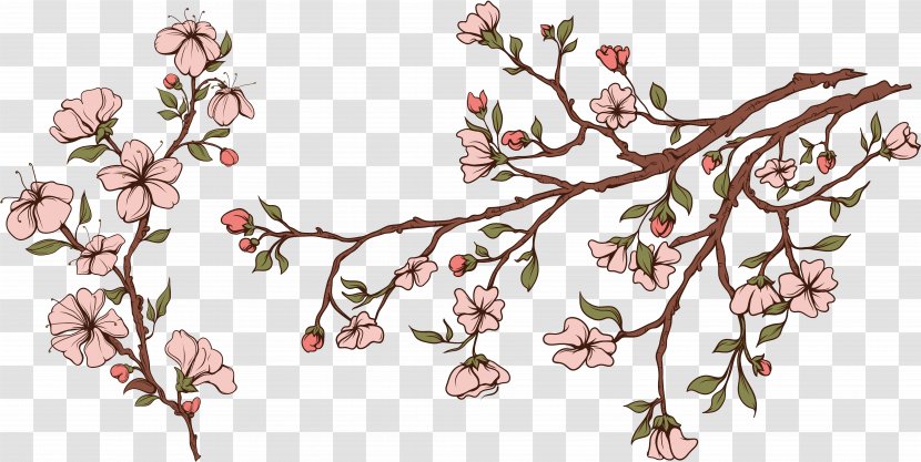 Flower Blossom Apples Drawing Cerasus - Flowering Plant - Tropical Transparent PNG