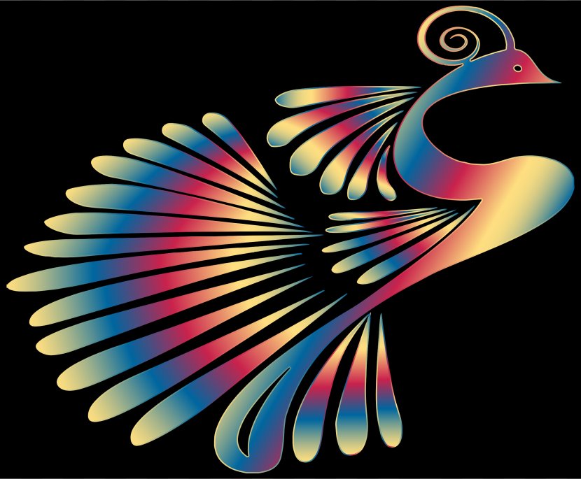 Peafowl Color Bird Desktop Wallpaper Clip Art - Vertebrate - Peacock Transparent PNG