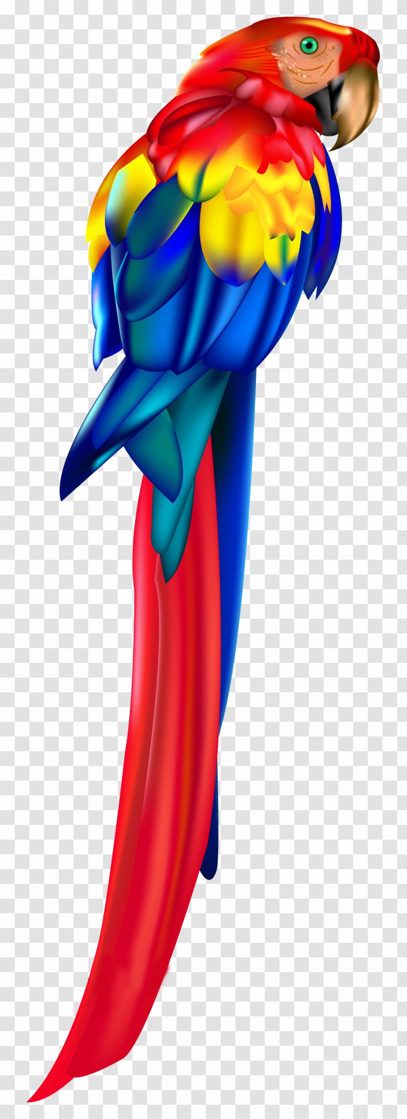Parrot Bird Macaw Clip Art - Beak Transparent PNG