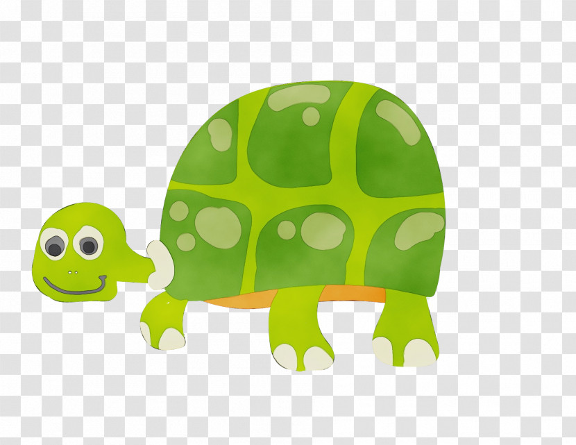 Tortoise Turtles Tortoise M Green Cartoon Transparent PNG