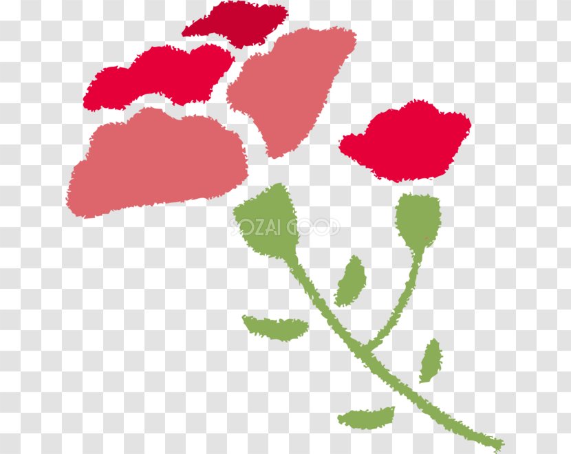 Illustration Garden Roses Stencil Design Mother's Day - Petal - May Transparent PNG
