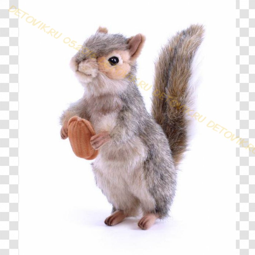 Squirrel Amazon.com Hamleys Stuffed Animals & Cuddly Toys - Cartoon Transparent PNG