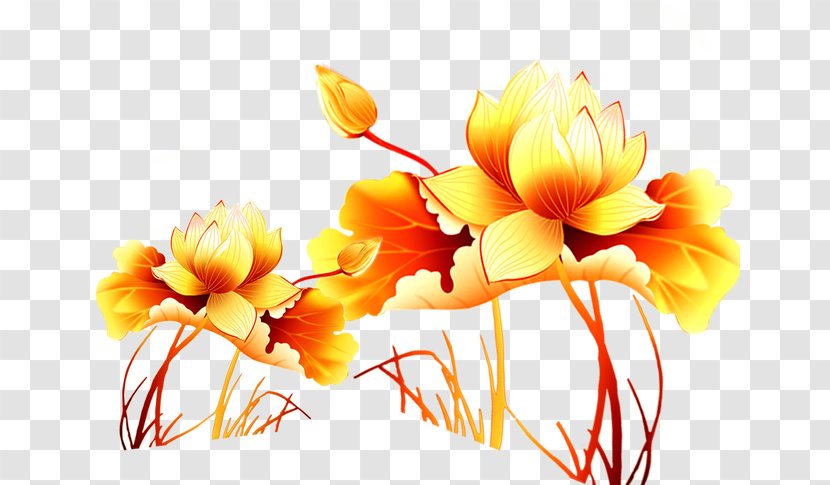 Tangyuan Download - Flower Bouquet - Golden Lotus Transparent PNG
