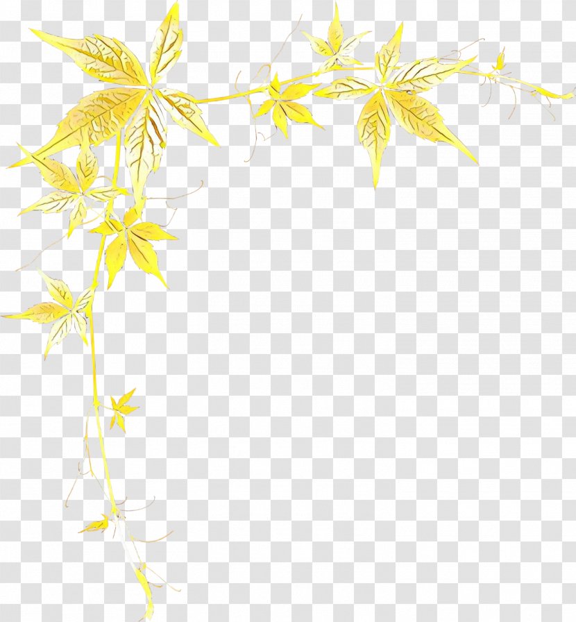 Yellow Leaf Line Plant Flower - Stem Transparent PNG