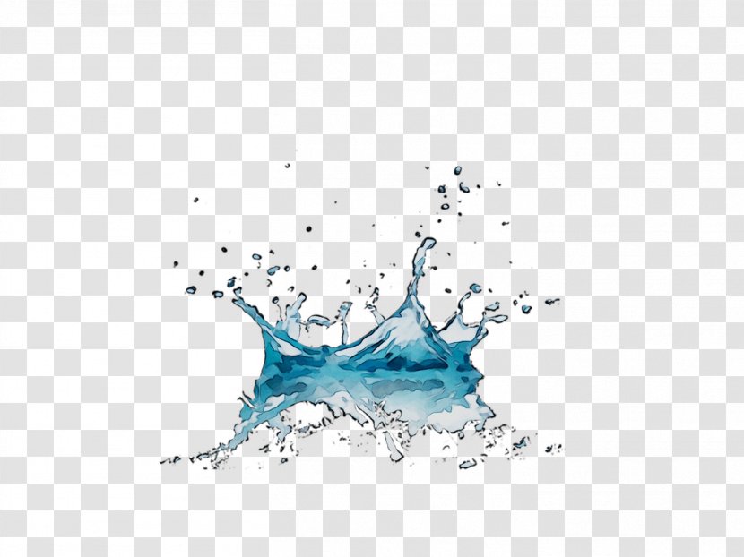 Graphics Water Illustration Fish Graphic Design - Blue - Drop Transparent PNG