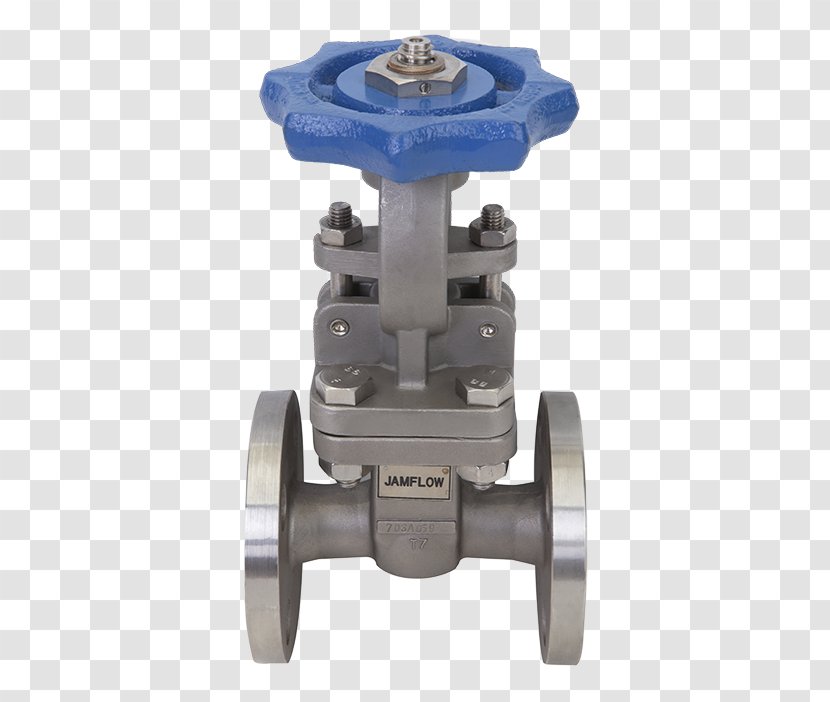 Stainless Steel Flange Gate Valve - Ball - Carbon Transparent PNG