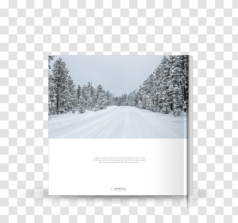 Brand Sky Plc - Snow Transparent PNG