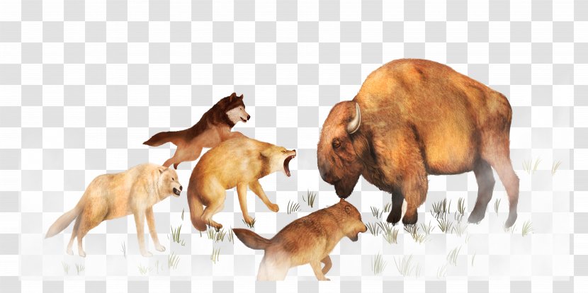 Animal Adobe Illustrator - Mammal - Fight Transparent PNG