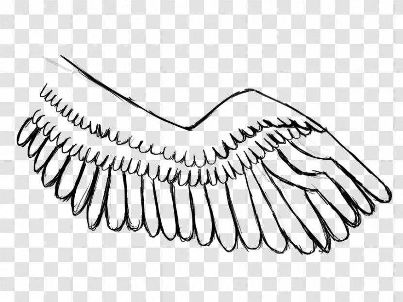Line Art Beak Feather - Shoe - Pegasus Wing Transparent PNG