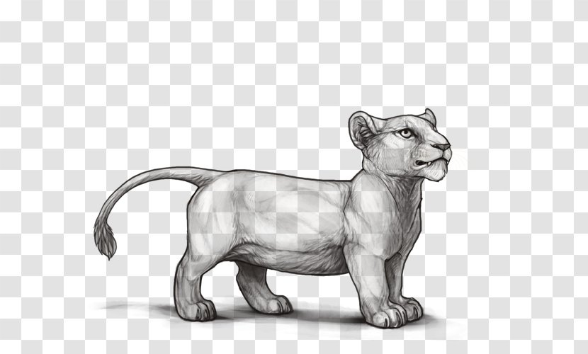 Cat Lion Line Art Sketch Drawing - Big Transparent PNG