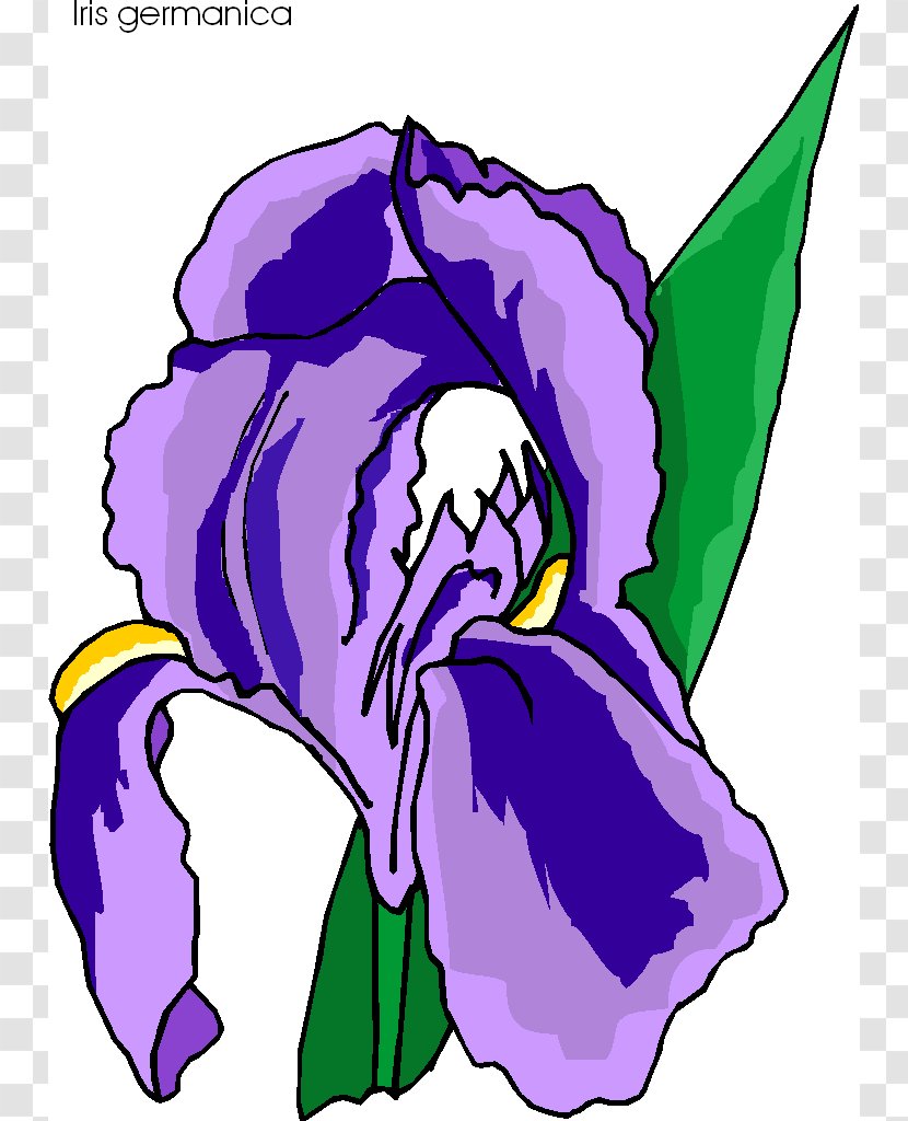 Flower Irises Clip Art - Silhouette - Iris Cliparts Transparent PNG