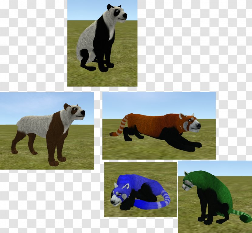 American Black Bear Giant Panda Red Grizzly - Pasture Transparent PNG