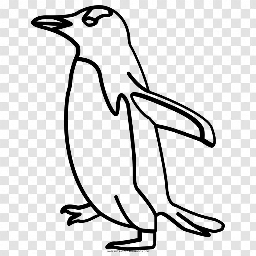 Penguin Bird Black And White Drawing - Beak Transparent PNG