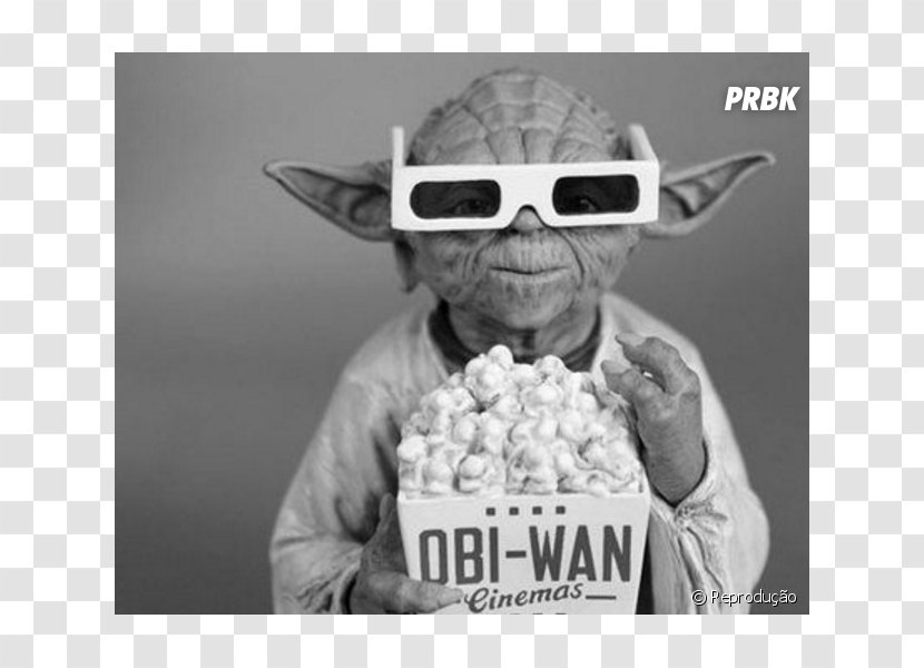 Yoda Luke Skywalker Anakin YouTube Chewbacca - Human Behavior - Youtube Transparent PNG