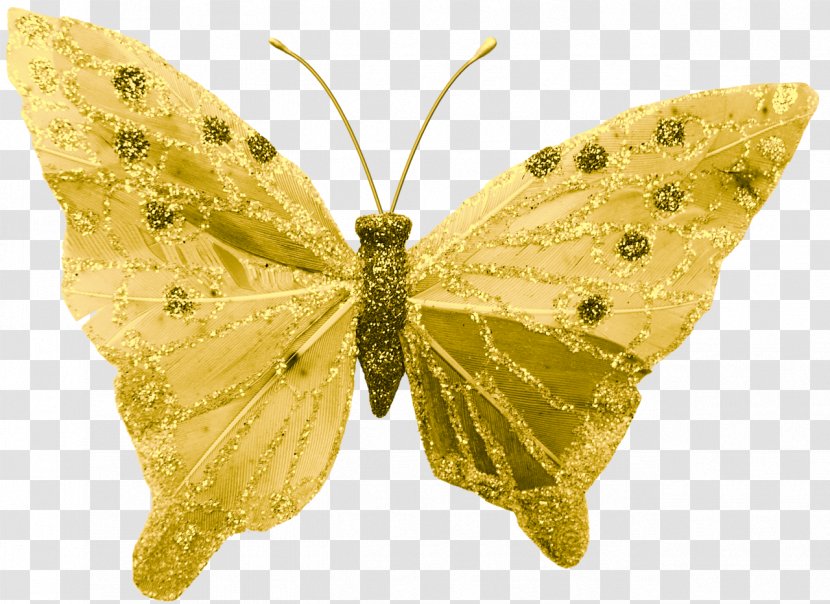 Brush-footed Butterflies Clouded Yellows Butterfly Silkworm Insect - Lycaenid Transparent PNG