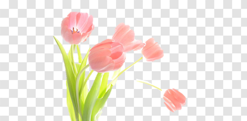 Artificial Flower Transparent PNG