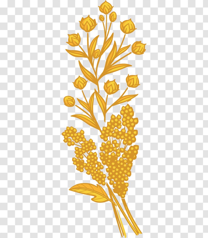 Quinoa Floral Design Plant Stem Clip Art - Sesame Oil Transparent PNG